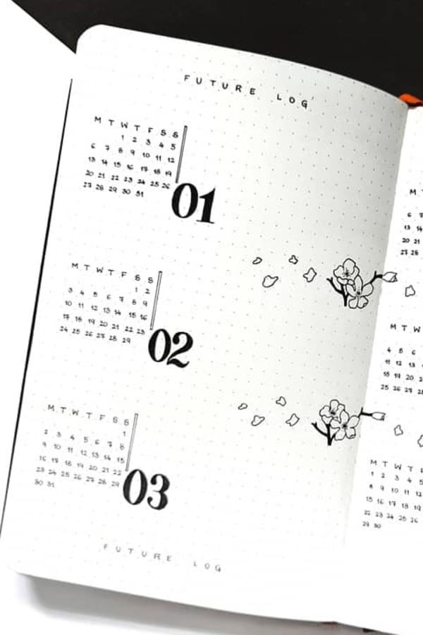 bullet journal future log layout example