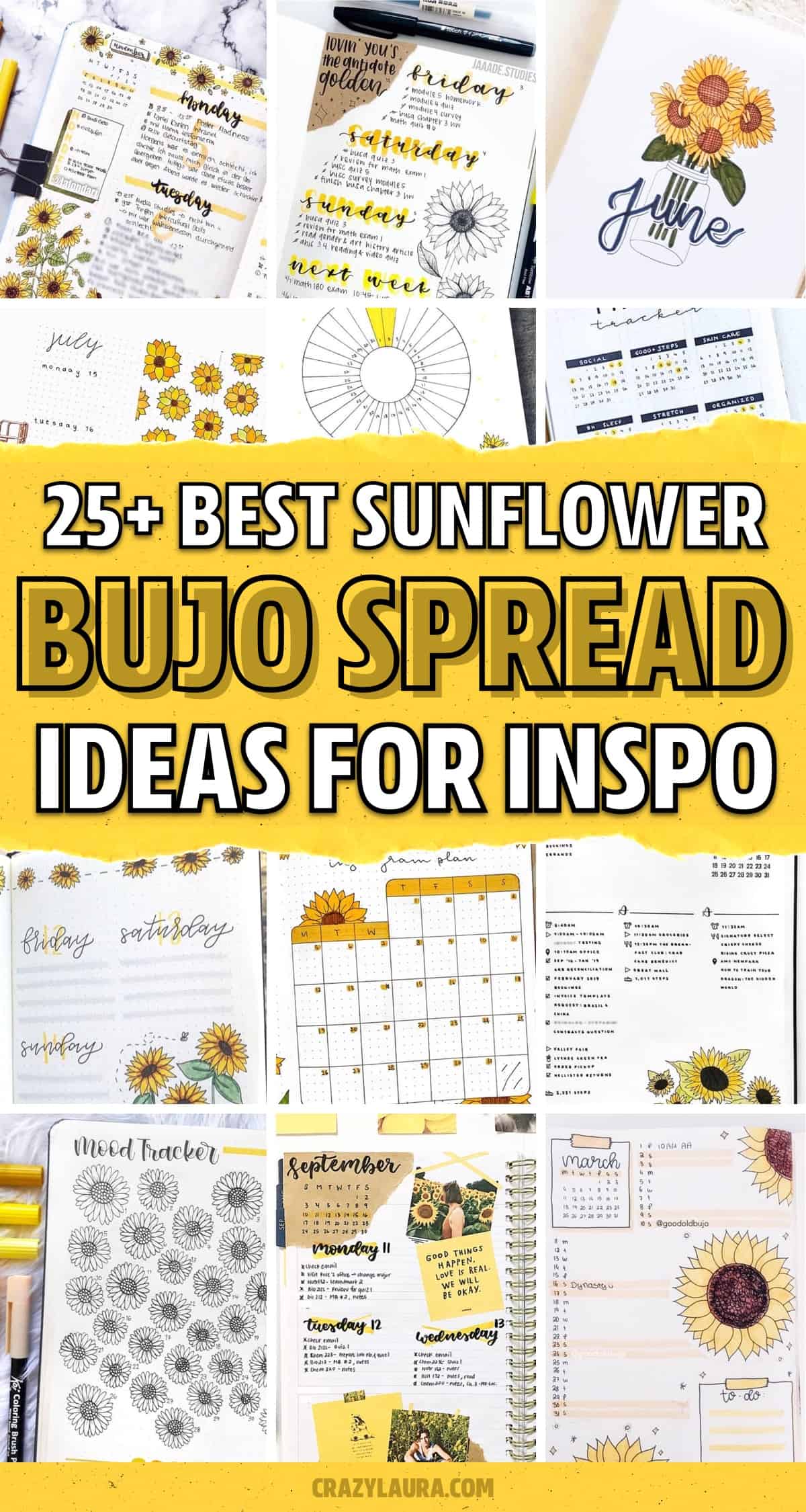 bullet spreads with sunflower doodles