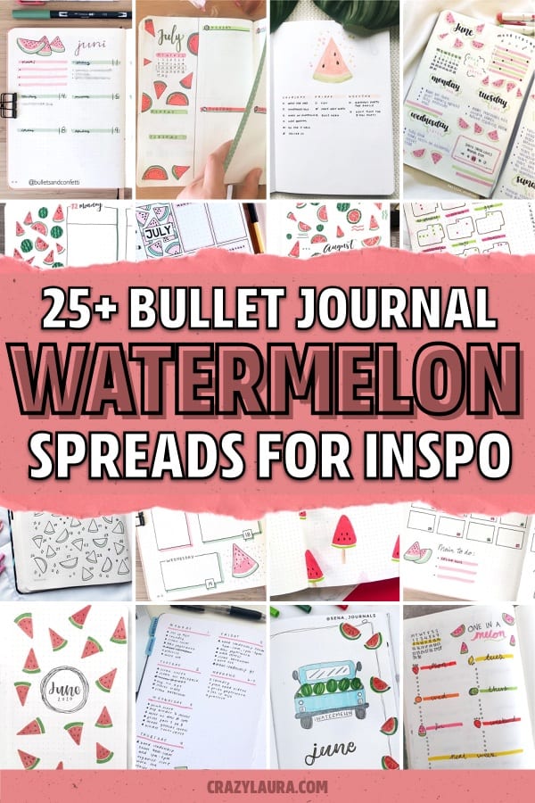 watermelon themed bujo examples