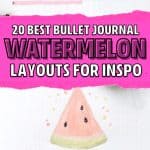 creative watermelon bullet journal layotus