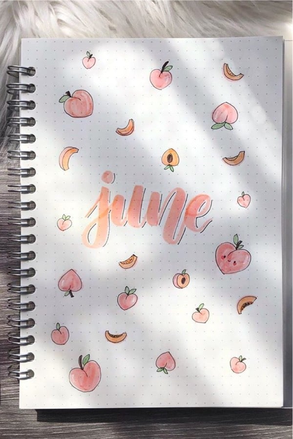 cover spread with pastel peach colors