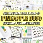easy pineapple themed journal ideas