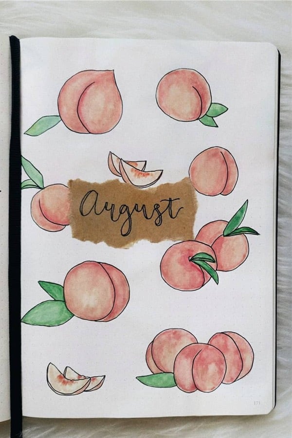bullet journal cover with peach doodles