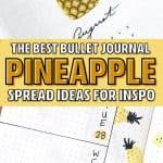 creative spreads with pineapple decoration