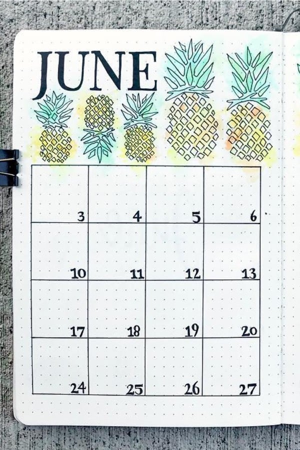 bullet journal spread with pineapples