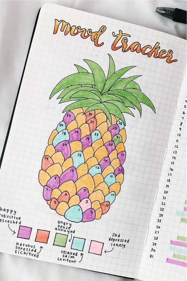 bullet journal tracker with pineapple