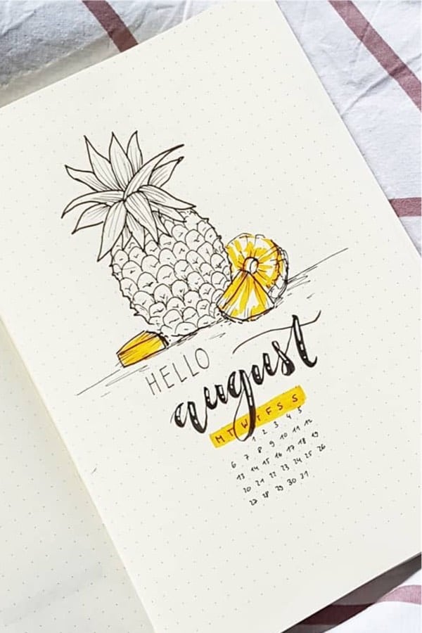 bujo cover spread with pineapple theme