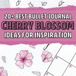 bullet journal spreads with cherry blossom doodles