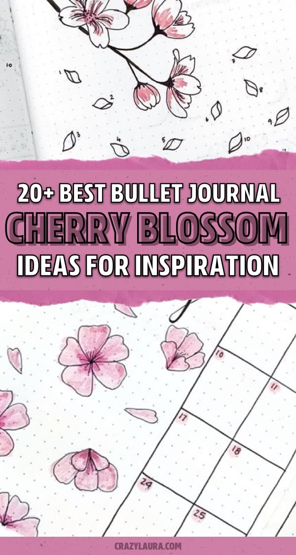 bullet journal spreads with cherry blossom doodles