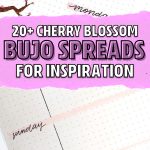 easy cherry blossom bujo inspo