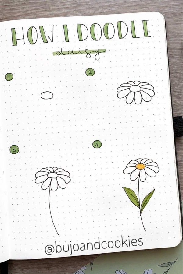 bujo doodle tutorial for daisy