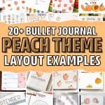 peach decoration for bullet journal layout