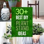 List of Creative DIY Plant Stand Ideas for Green Enthusiasts