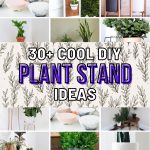 Discover 30+ Incredible DIY Plant Stand Projects