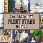 Elevate Your Plants with 30+ DIY Stand Ideas