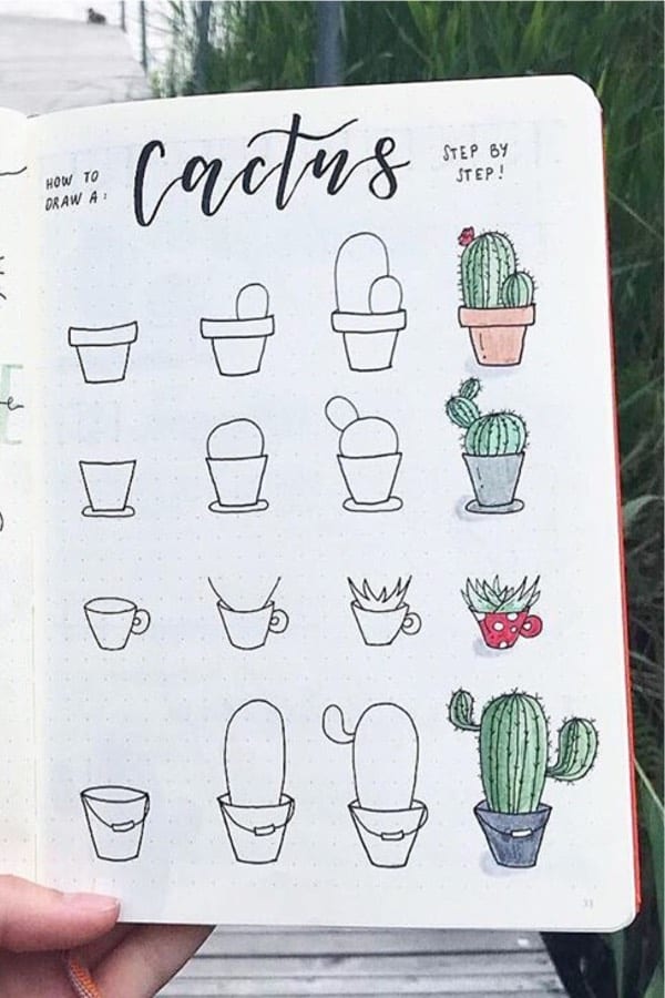cute cactus doodles in planter pots