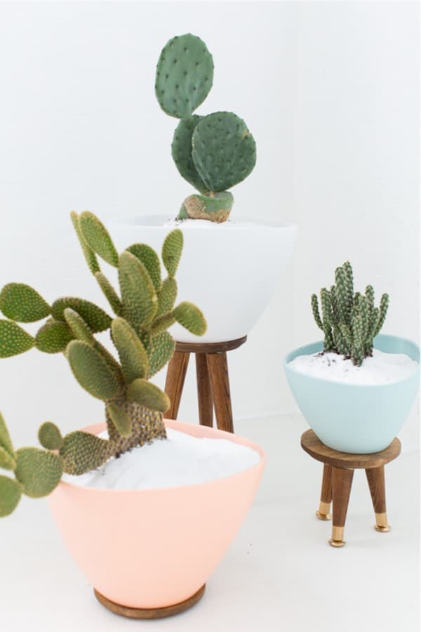 pastel colored diy cactus stands