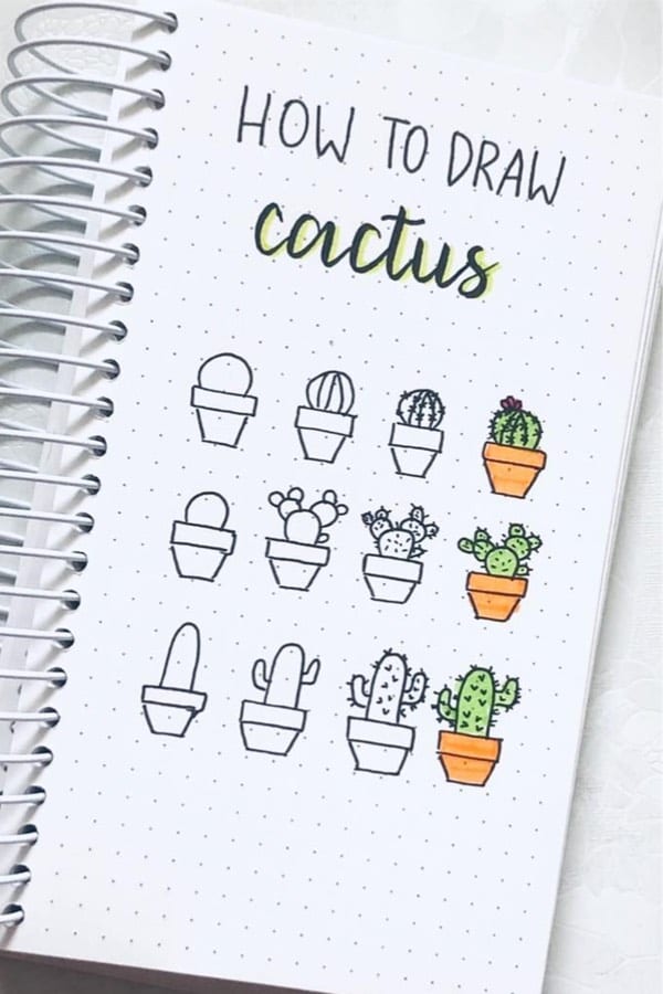 easy cacti bujo drawing examples