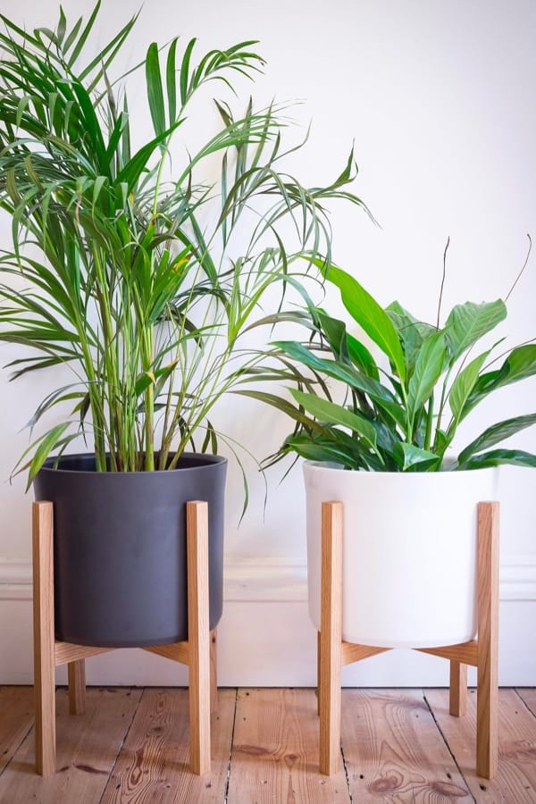 modern potted plant stand