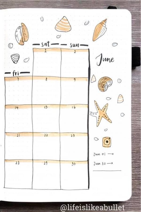 monthly log with seashell doodles