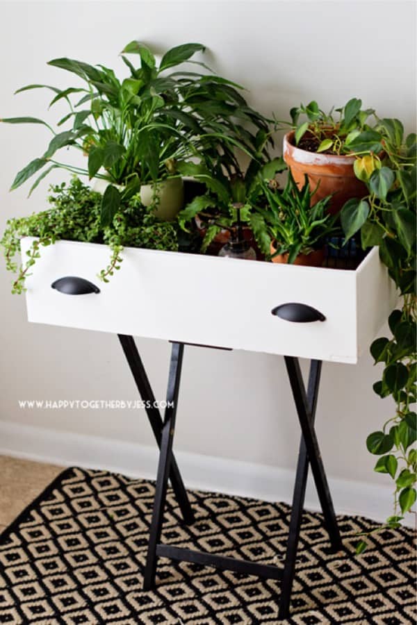 white scrap wood plant stand