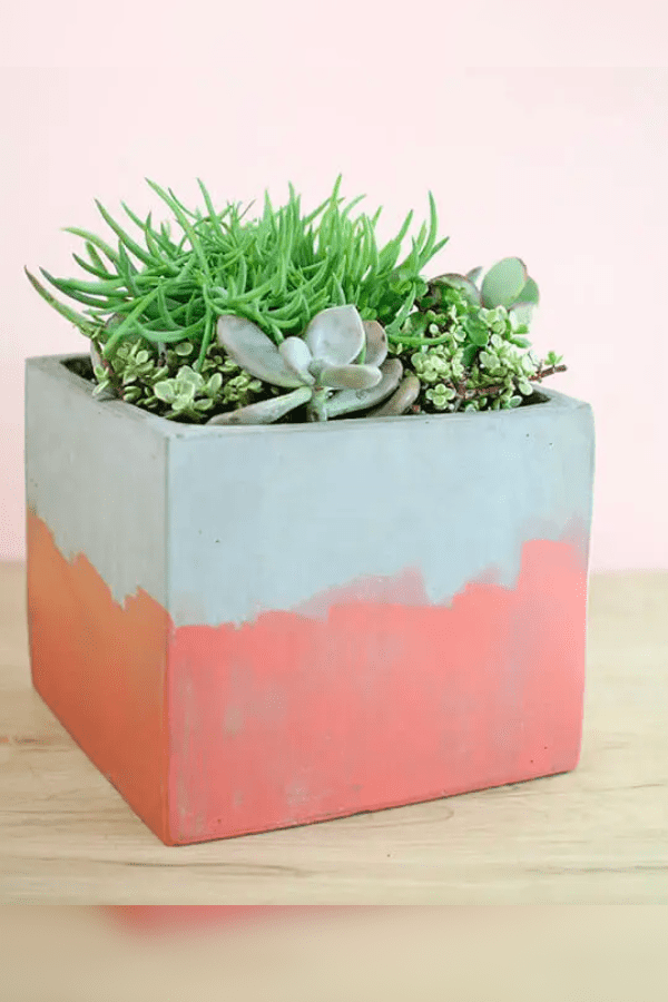Stained Concrete Planter
