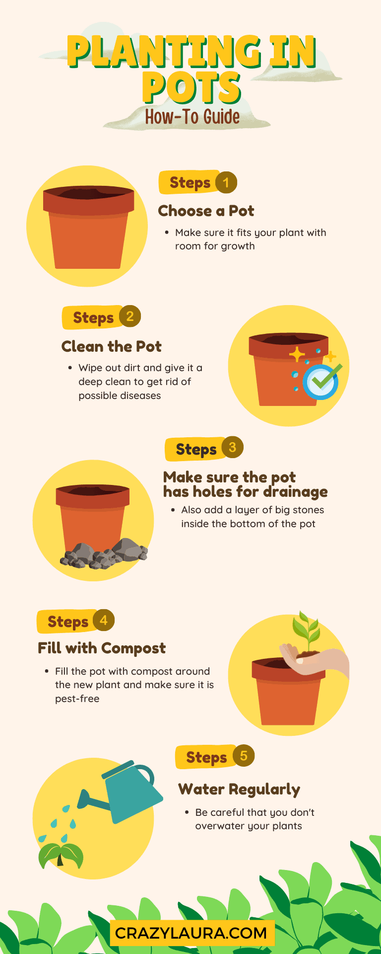 Infographic on Planting in Pots
