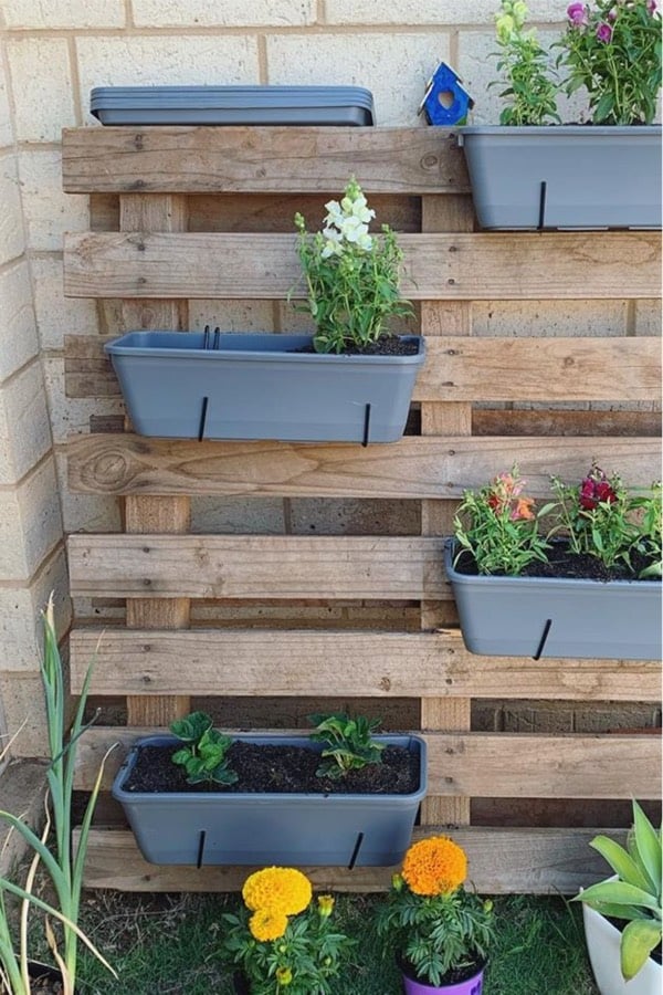 side yard vertical garden ideas