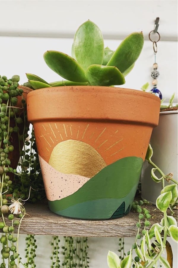 painted succulent pot design