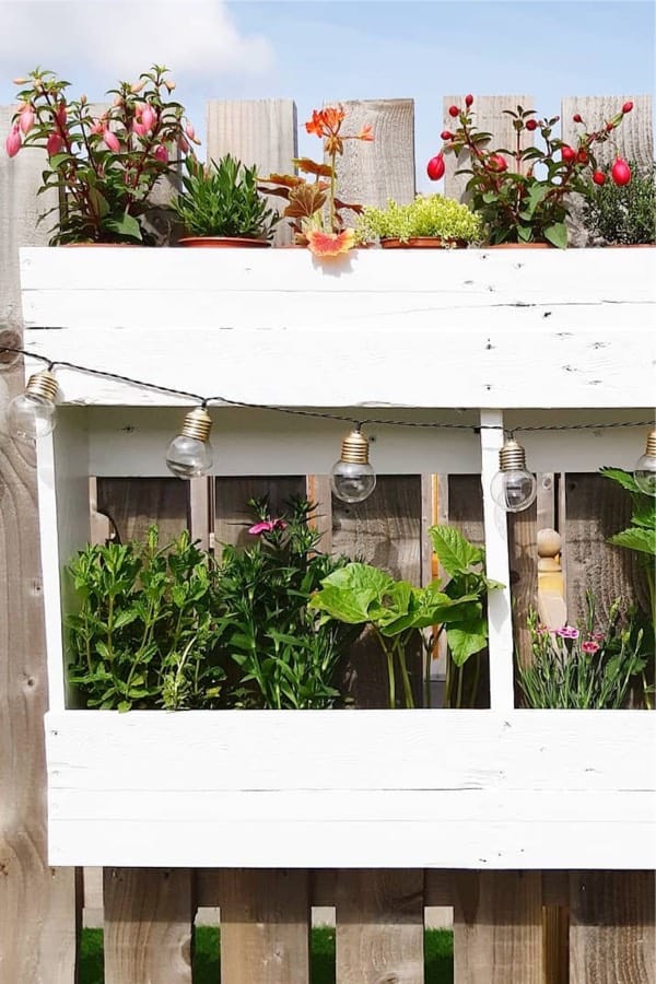 white painted pallet for hanging garden