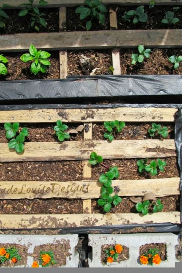 raised planters with leftover pallets