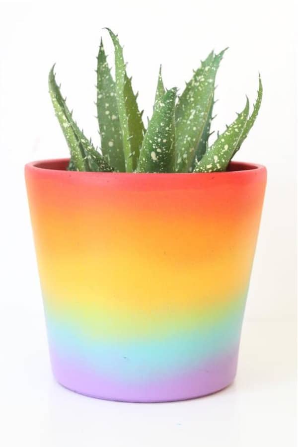 cement planter with ombre rainbow paint
