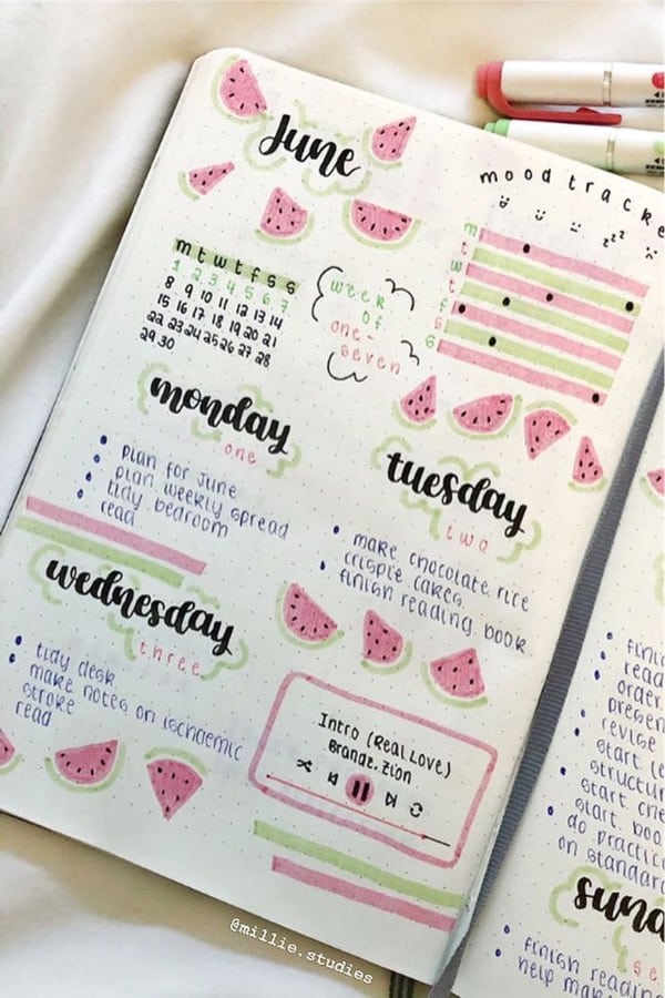pink and green watermelon bujo page