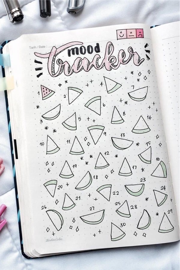 watermelon themed bullet journal tracker page