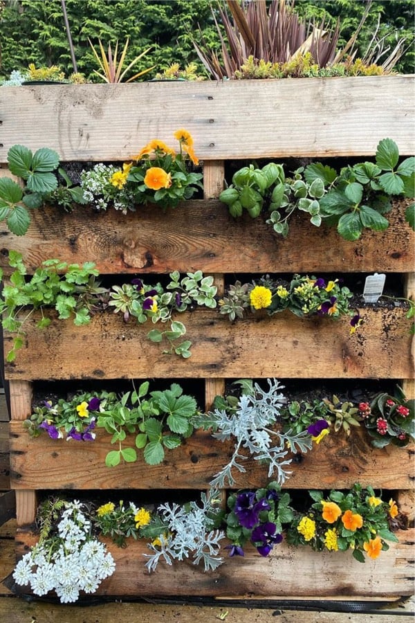 simple pallet garden examples