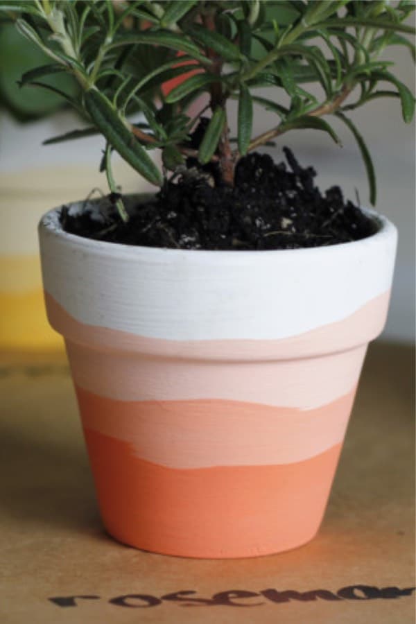 how to paint mini herb pots