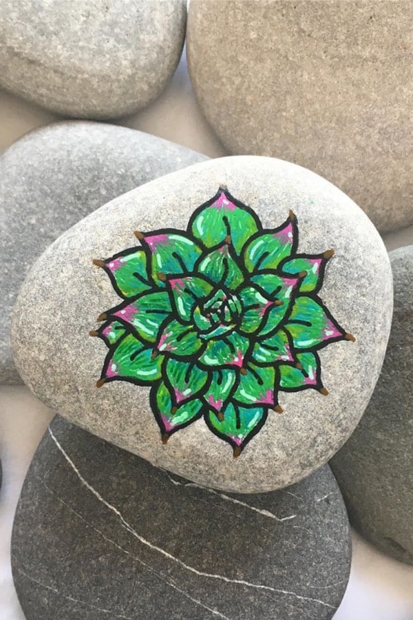 succulent design for painted pebble