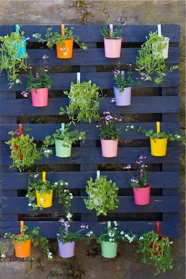 homemade wall garden with old pallets