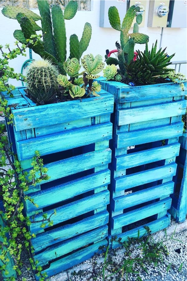 diy cactus planters from leftover pallets