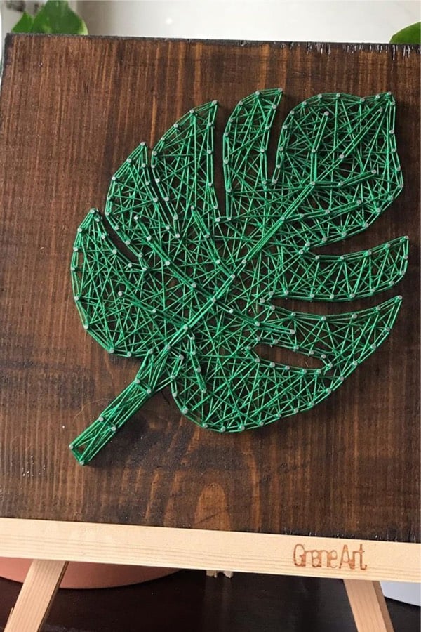 nail and string plant pattern