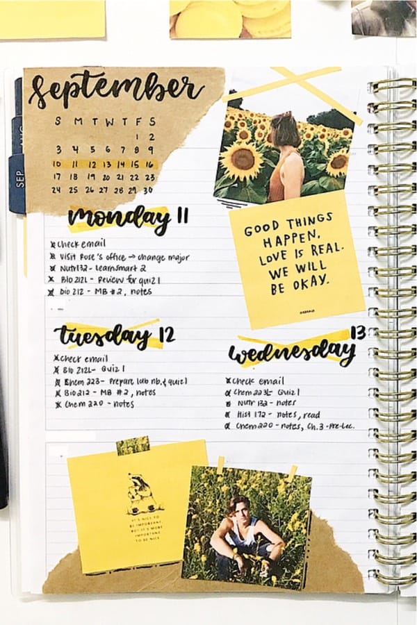dot journal theme with sunflower doodles