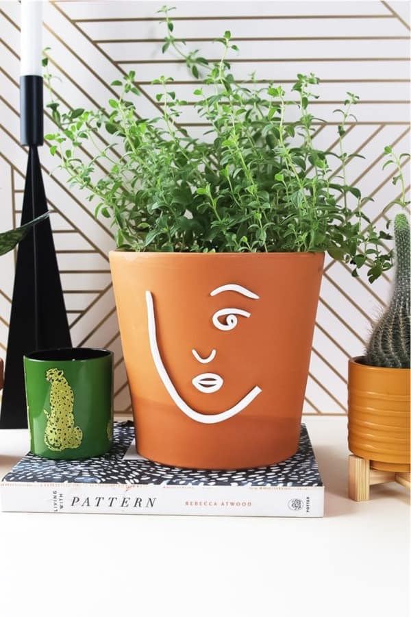 clay pot planter with decoration