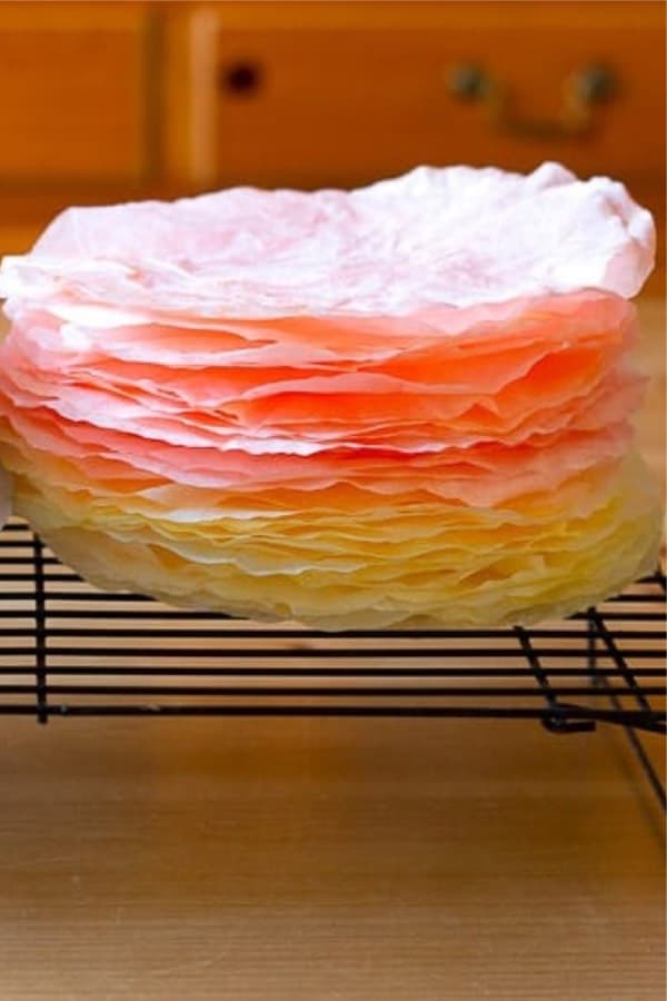 food coloring coffee filter dying
