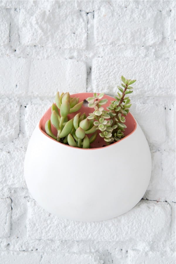 wall planter craft from air dry clay