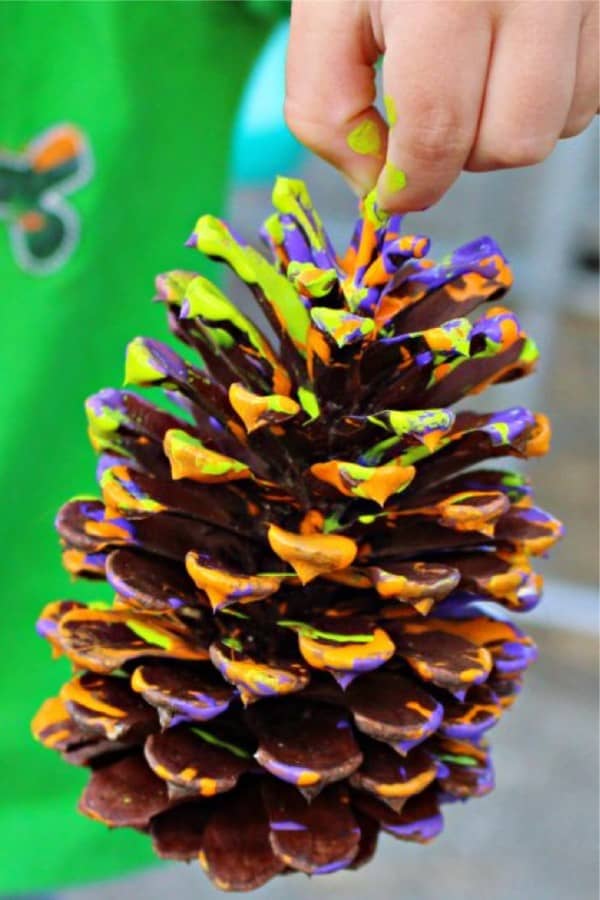painted pine cone craft idea