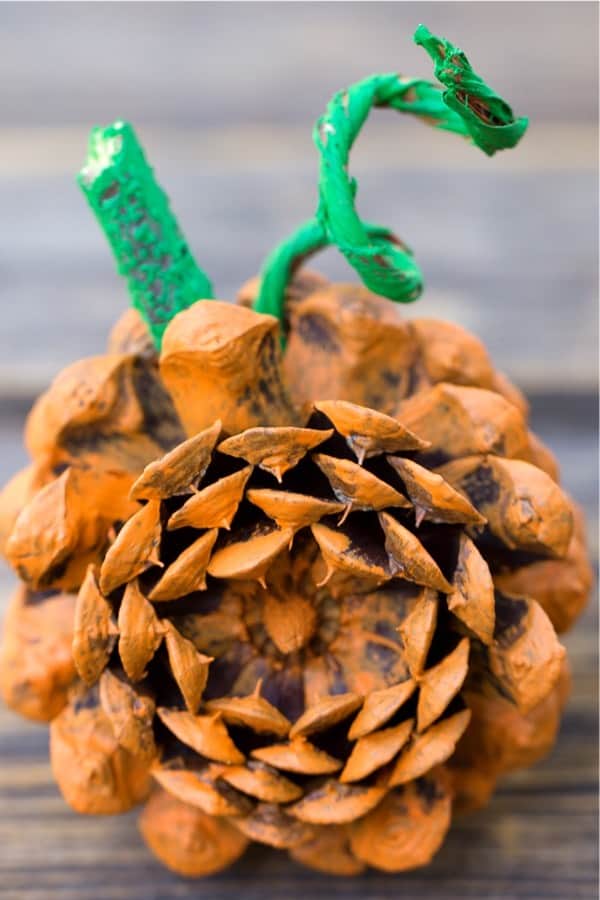 halloween craft project with pinecones