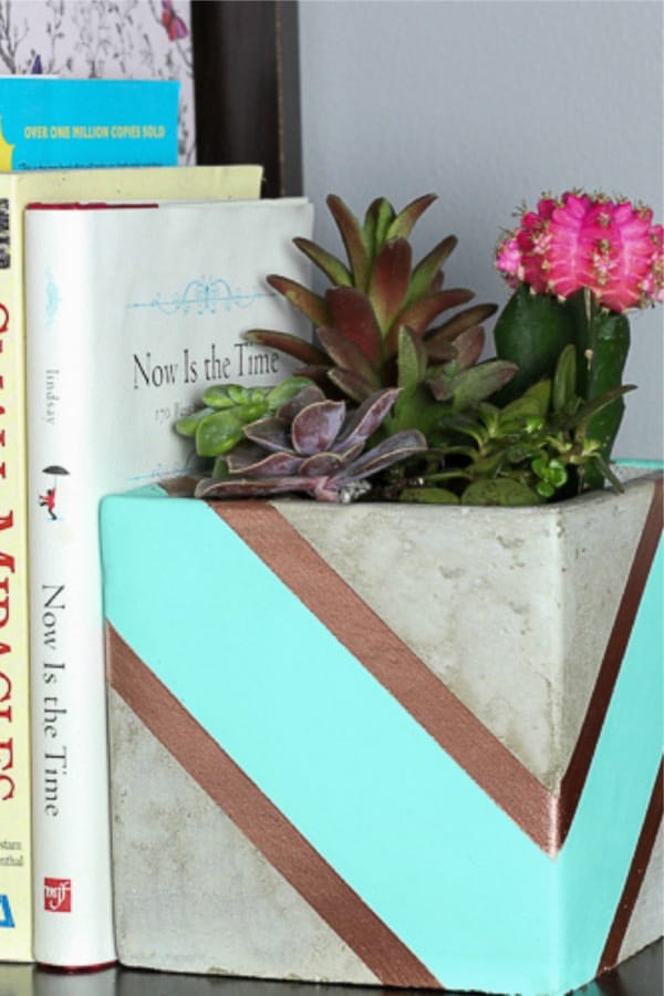 bookends with planters for succulents