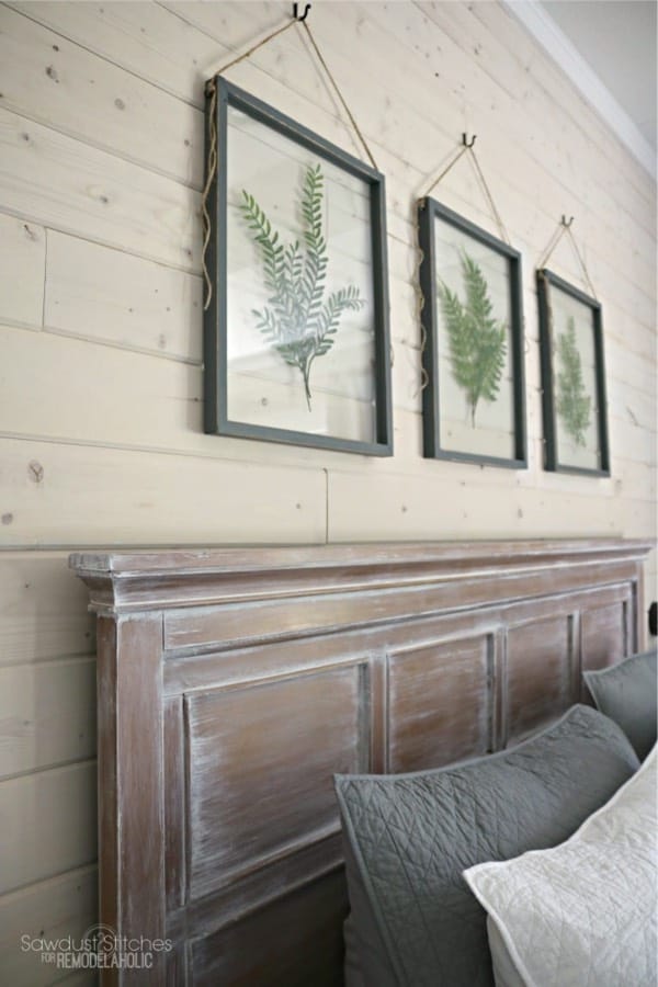 pressed plant frame for wall decor