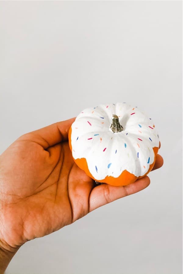 donut themed mini pumpkin decoration