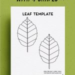free to download leaf outlines